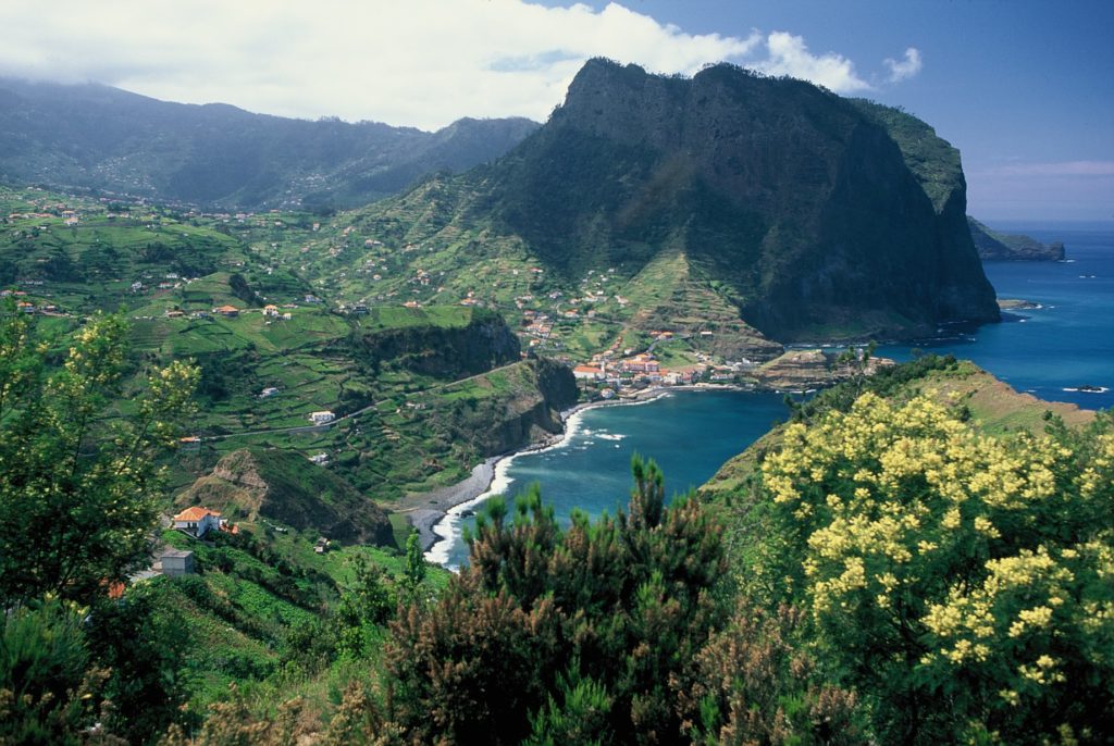 MADEIRA - Blumeninsel im Atlantik MADEIRA - Blumeninsel im Atlantik