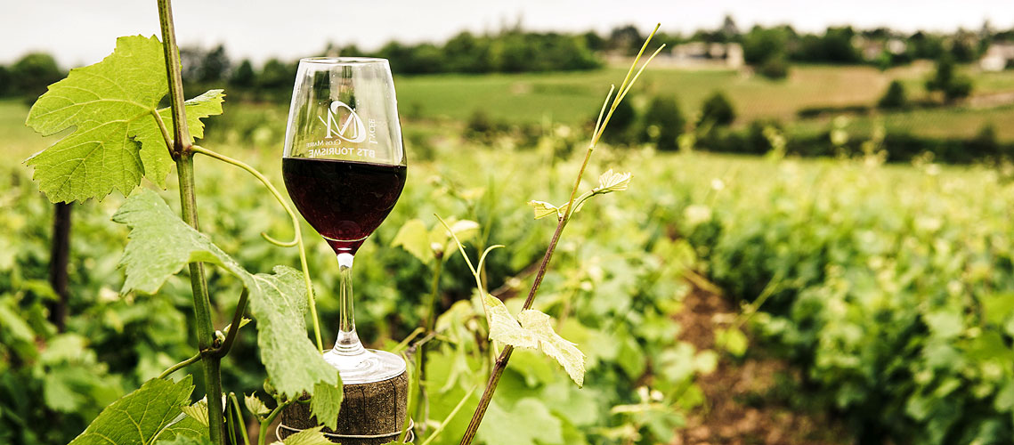 freitags.WEIN | Winzerhof Steffen Rößler aus Radebeul freitags.WEIN | Winzerhof Steffen Rößler aus Radebeul
